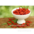 Ningxia dried goji berry -good sale 13 % moisture max